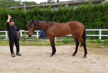 �屺������ ����