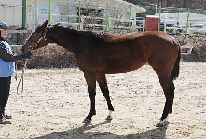 �����Ƽ ����