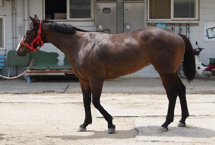 ������ ����