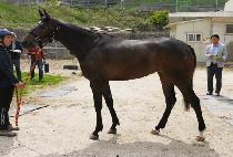 CHOEGANG CAMP picture