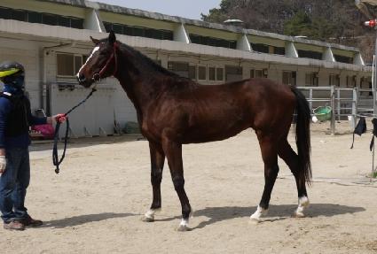 ������Ʈ ����