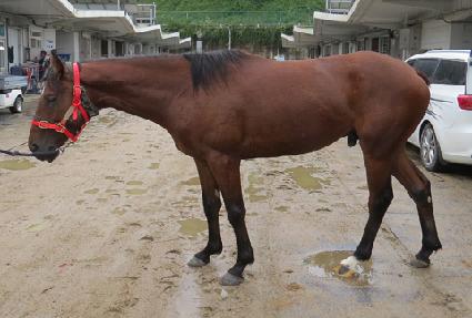 �����ǽ� ����