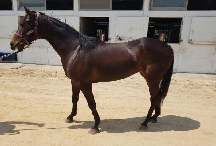 ��������ġ ����