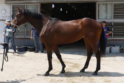 �����θ� ����