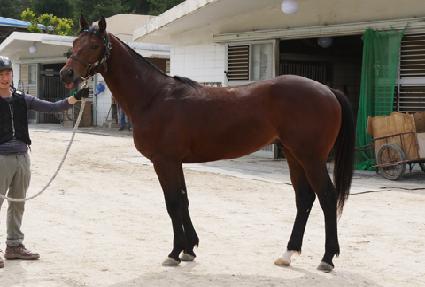 �ο������ ����