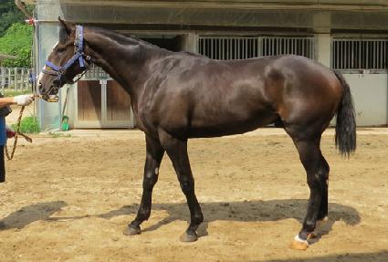 �������� ����