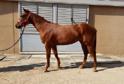 û���ġ ����