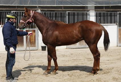 Ʈ���̼��� ����