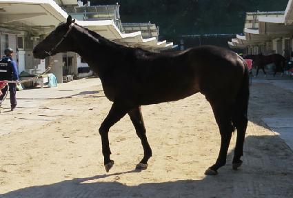 �ε�𼭸� ����