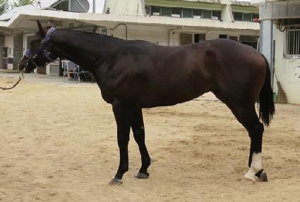 ���ø����� ����