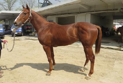 �������� ����