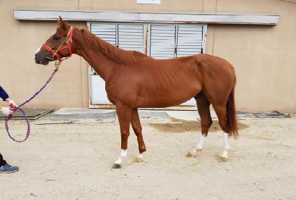 �ǽ��ξ ����