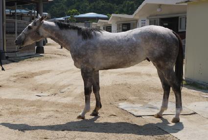 ŷ����ŷ�� ����