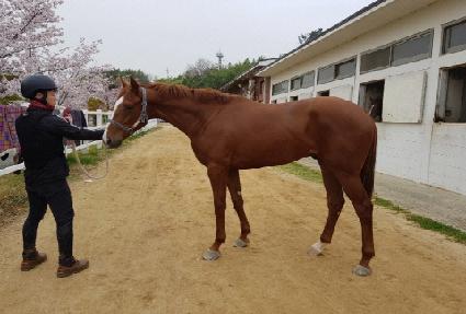 Ƽ����� ����