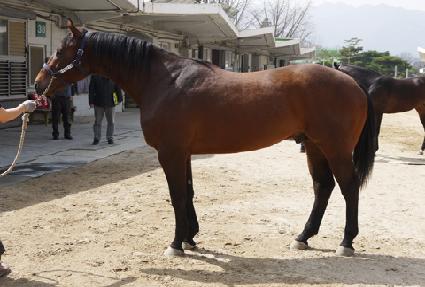 ���ǿ����� ����