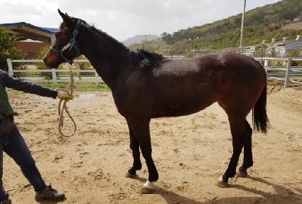 �����̰��� ����