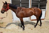 �������̾� (TWO TWO FIRE) ����