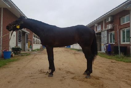 ����Ʈ��� ����