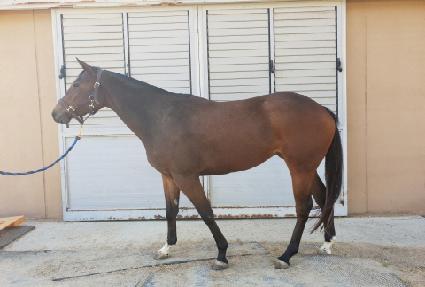 ������ ����