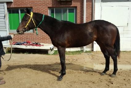 ���Ƽ�� ����