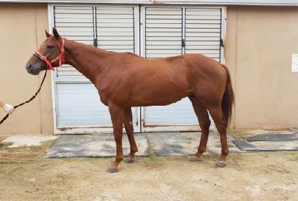 ���̺����̵� ����