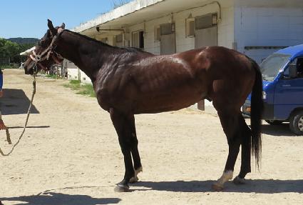 ������ ����