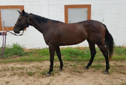 �ƾ߳� ����