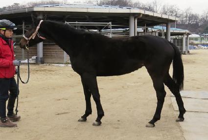 ��ũ�����̵� ����