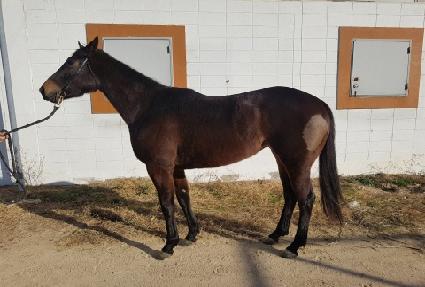 ������ġ ����