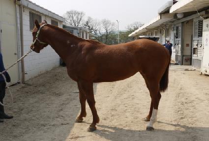 ����� ����