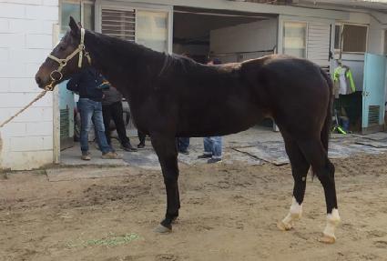 �̱׷���Ÿ�� ����