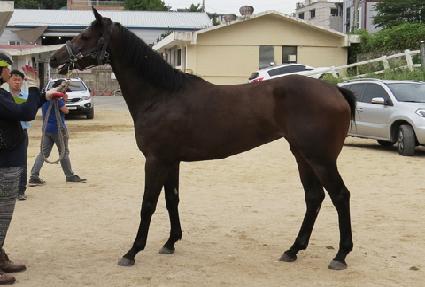 �ݳ뷡 ����