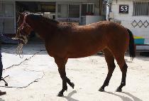 �������� (YEOSIN JILJU) ����