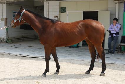 ���ƶ��� ����