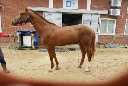 �������� ����