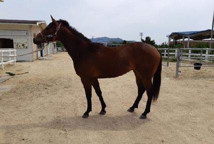 �����ۿ��� ����