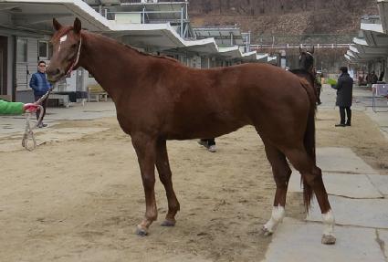 �������̵� ����