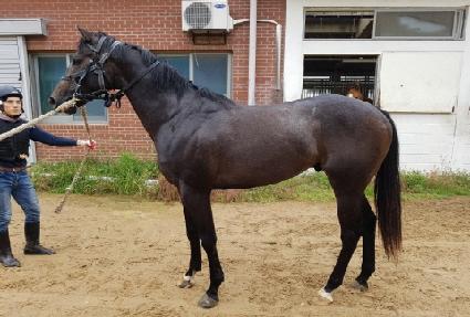 �������� ����