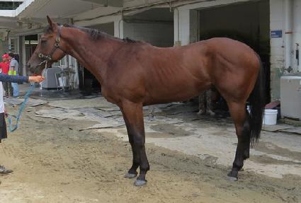 ���κ�Ʈ ����