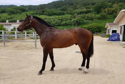 ���ǵ��� ����