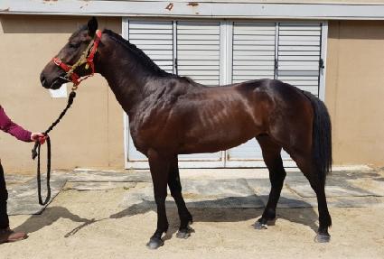 �Ŀ���ġ ����