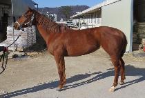 ���ʼ��� (WINNER SAY) ����