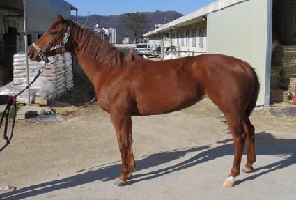 ���ʼ��� ����