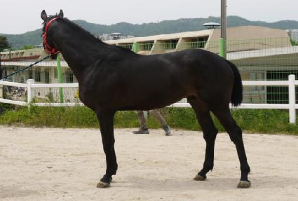 �㽬�뺸 ����