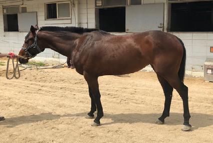 �÷������ ����