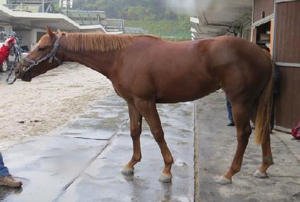 õ�� ����