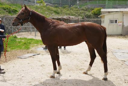 �ְ���Ÿ ����