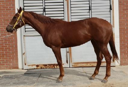 ��Ű���� ����