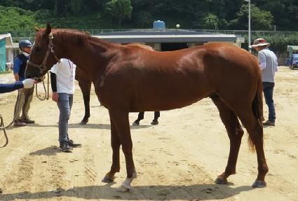 �������� ����