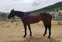 Ÿ�����Դ� (TIME TOGETHER) ����